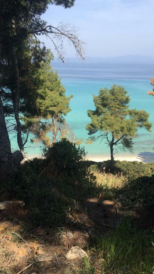 Villa Adria Κρυοπηγή Εξωτερικό φωτογραφία