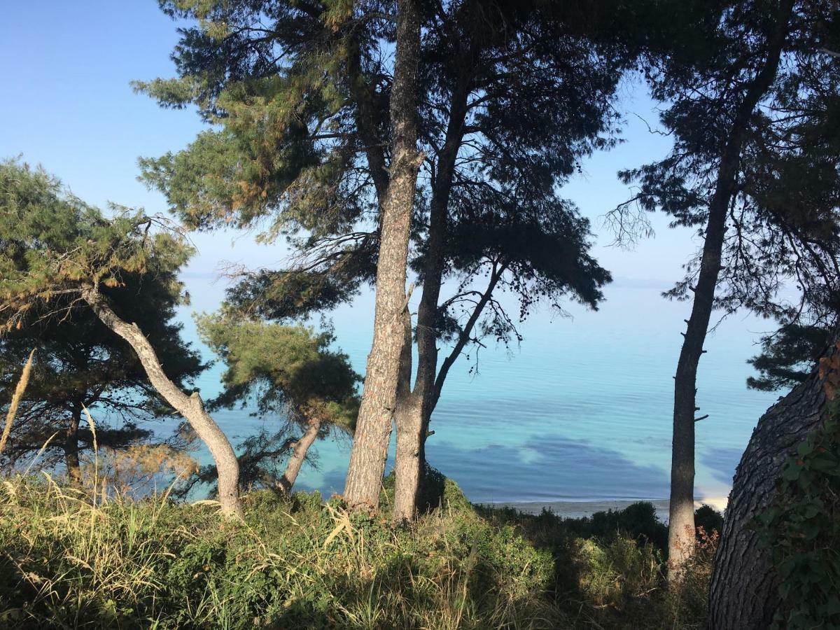 Villa Adria Κρυοπηγή Εξωτερικό φωτογραφία
